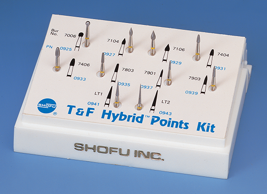 Hybrid Points