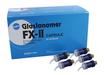 SHOFU Dental Corporation GlasIonomer FX-II