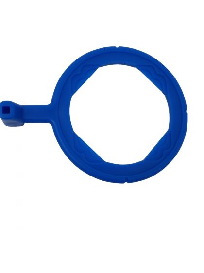 Anterior Arm Blue